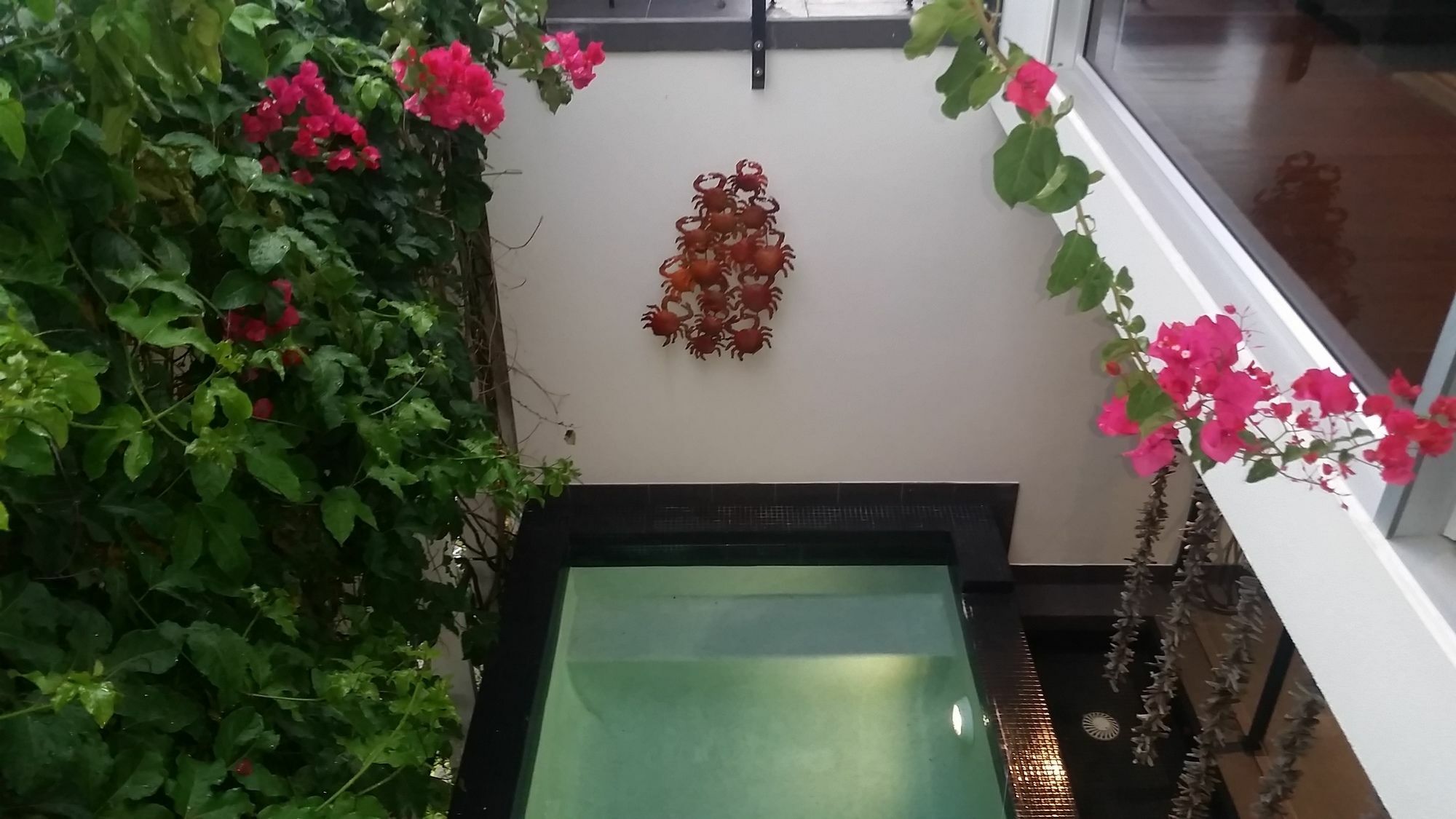 Sunrise Cove Holiday Apartments By Kingscliff Accommodation Eksteriør billede